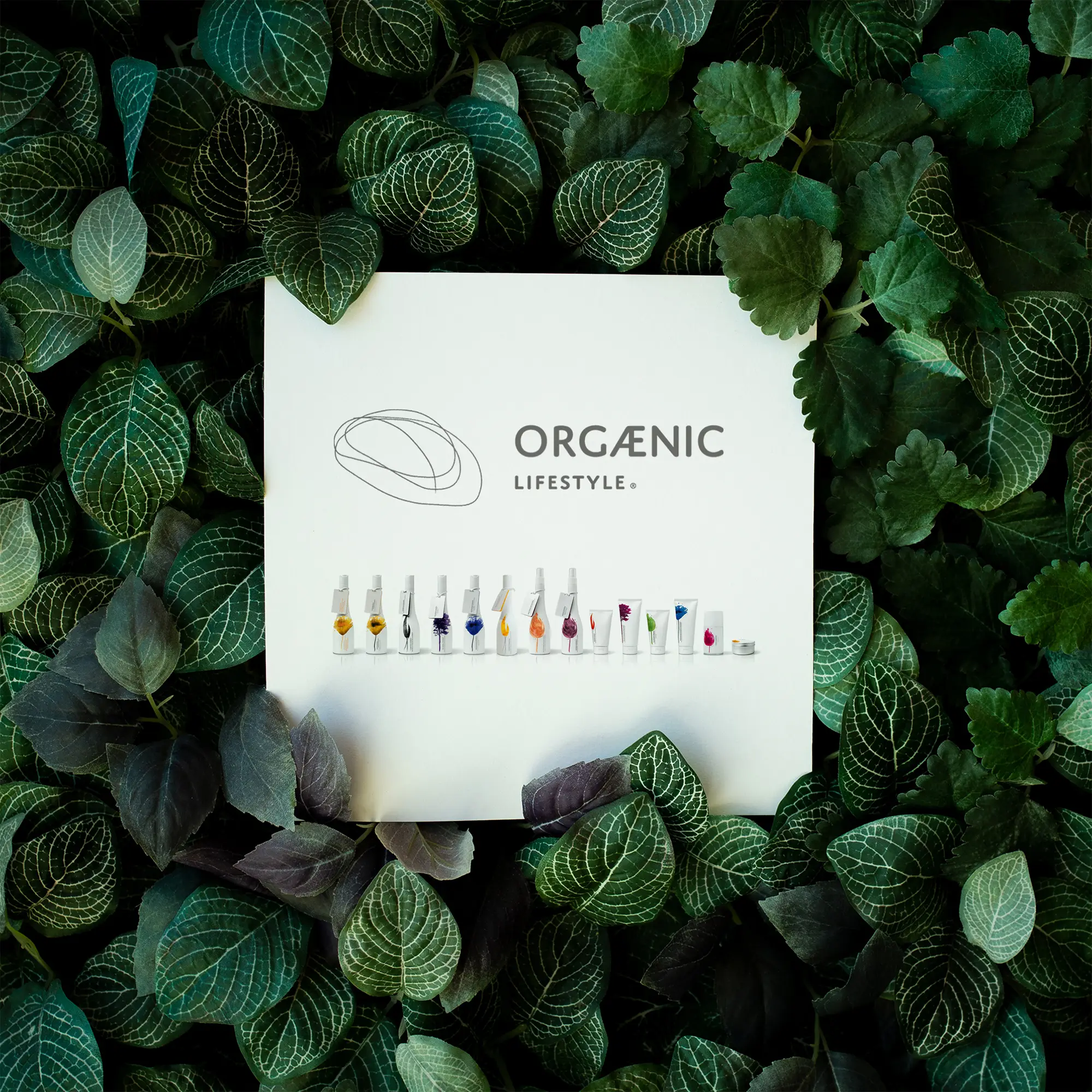 Organic Lifestyle Haarpflegeprodukte mit natürlichen Inhaltsstoffen im Friseursalon Stadtroda